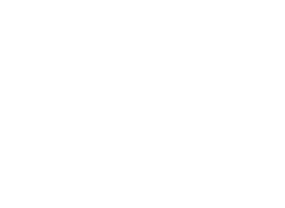Tire Max Total Car Care – SunAuto – png